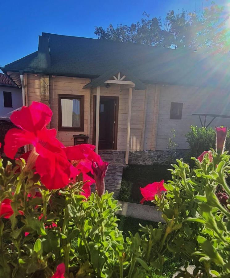 Rooms And Apartmants Mirovic Колашин Экстерьер фото